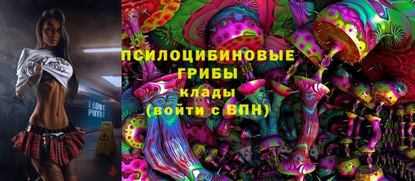 молекула духа Кулебаки