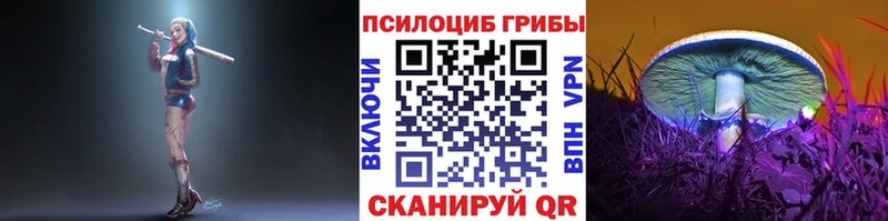 купить   Сызрань  Галлюциногенные грибы GOLDEN TEACHER 